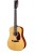 Eastman Guitars E1D-12-DLX Westerngitarre