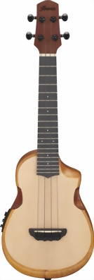 ibanez-auc10e-opn-1-m.jpg ibanez-auc10e-opn-1-m.jpg