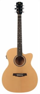 prodipe-guitars-sa25-ceq-m.jpg