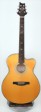 prs-se-a50e-1-s.jpg