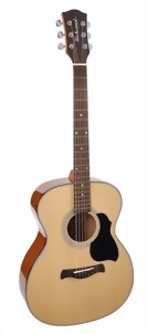 richwood-guitars-a-40-m.jpg