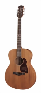 richwood-guitars-a-50-m.jpg