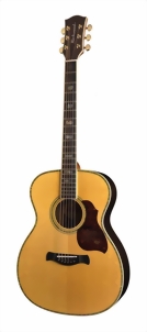 richwood-guitars-a-70-va-m.jpg