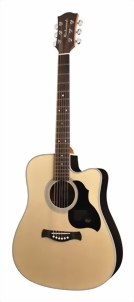 richwood-guitars-d-60-ce-m.jpg