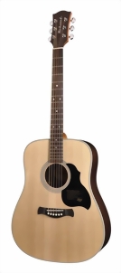 richwood-guitars-d-60-m.jpg