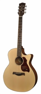 richwood-guitars-g-22-ce-m.jpg