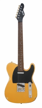 slick-guitars-sl-51-bst-m.jpg