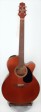 takamine-ef440sc-gn-1-s.jpg