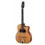 wgb_gipsy-gitarre.jpg