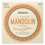 wgb_saiten_mandoline.jpg