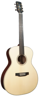 yous-guitars-ga25e-pa-1-m.png