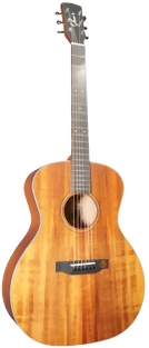 yous-guitars-ga25ekoa_1-m.png