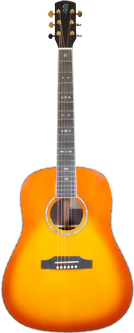yous-guitars-j24dlx_4-m.png