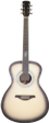 yous-guitars-o200egb_3-s.png