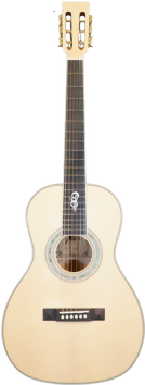 yous-guitars-p140e_3-m.png