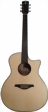 yous-guitars-v100-1-s.jpg