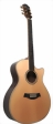 yous-guitars-v400ce-1-s.jpg
