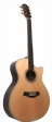 yous-guitars-v400ce-1-s.jpg
