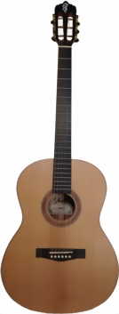 yous-guitars-wa23-1-m.jpg